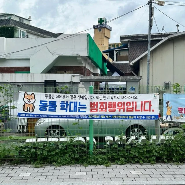 몽둥이로 맞는 강아지 현장 사진