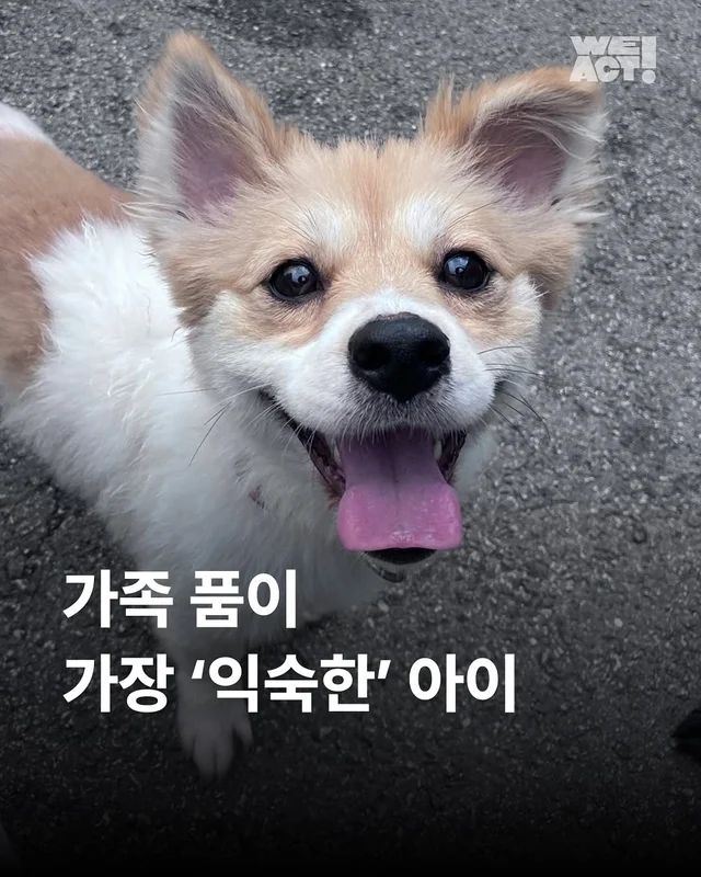 위액트 뽀또 현장 사진