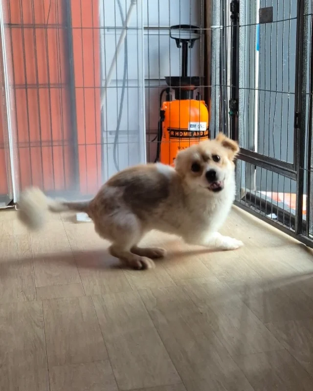 위액트 뽀또 현장 사진