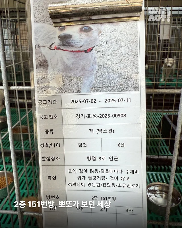 위액트 뽀또 현장 사진