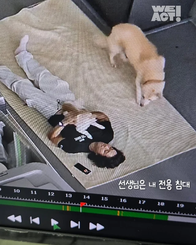 위액트 뽀또 현장 사진