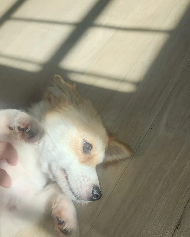 위액트 뽀또 현장 사진