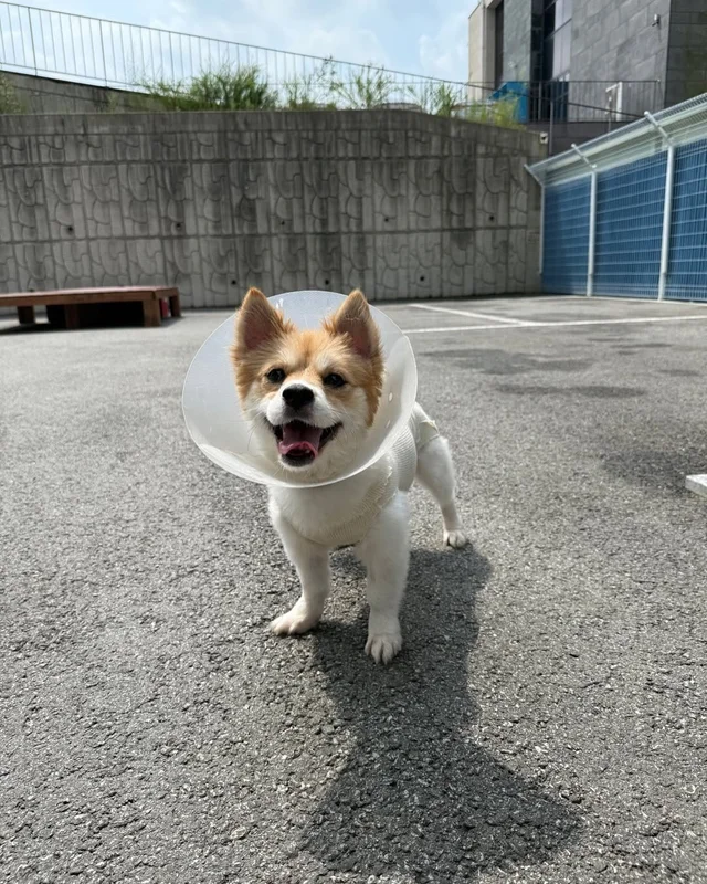 위액트 뽀또 현장 사진