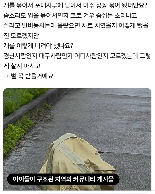 포대자루유기견 현장 사진