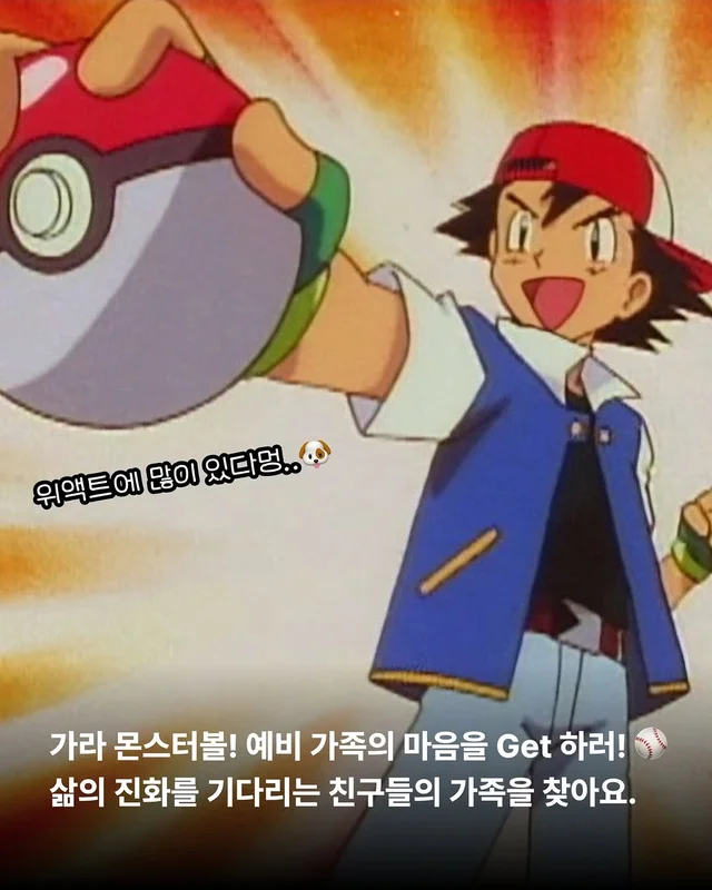 포켓몬 실사판!? 너로정했다! 우리집 막내! #위액트이.. 현장 사진