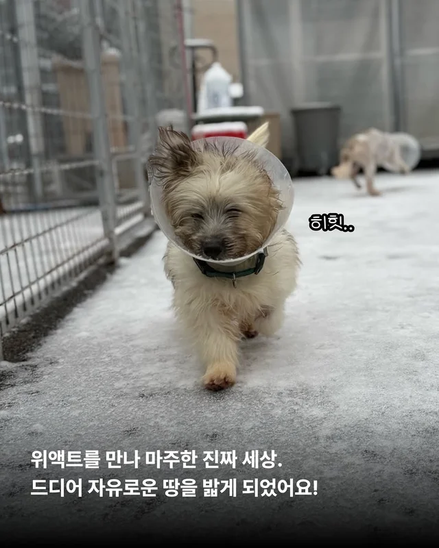 포켓몬 실사판!? 너로정했다! 우리집 막내! #위액트이.. 현장 사진