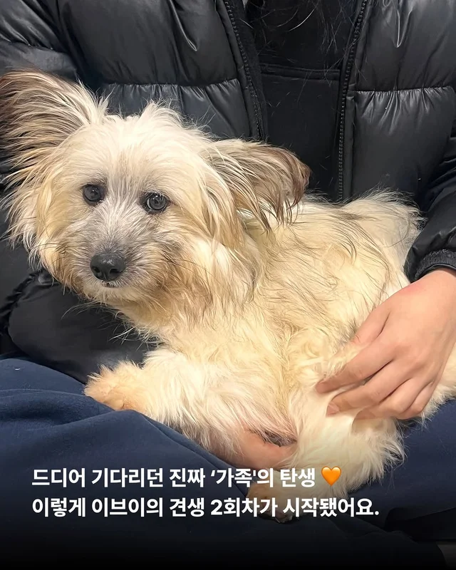 포켓몬 실사판!? 너로정했다! 우리집 막내! #위액트이.. 현장 사진