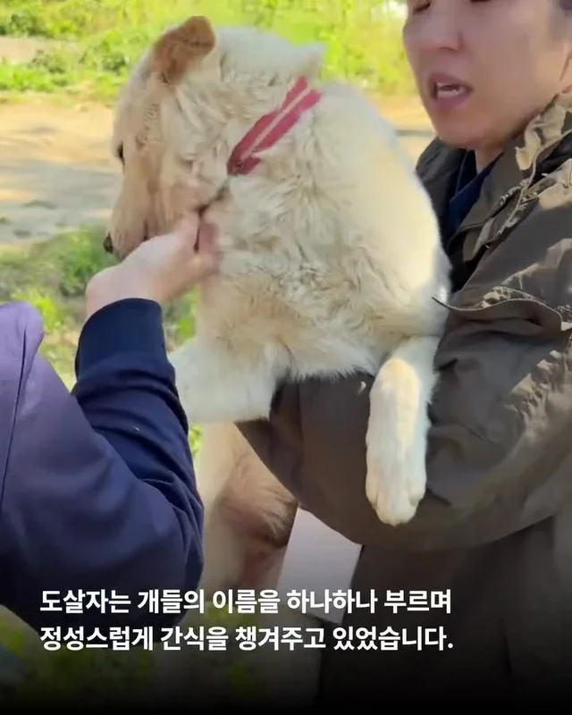얘는 내 가족, 이건 먹는 것 현장 사진