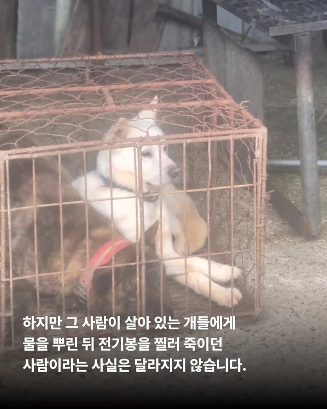 얘는 내 가족, 이건 먹는 것 현장 사진