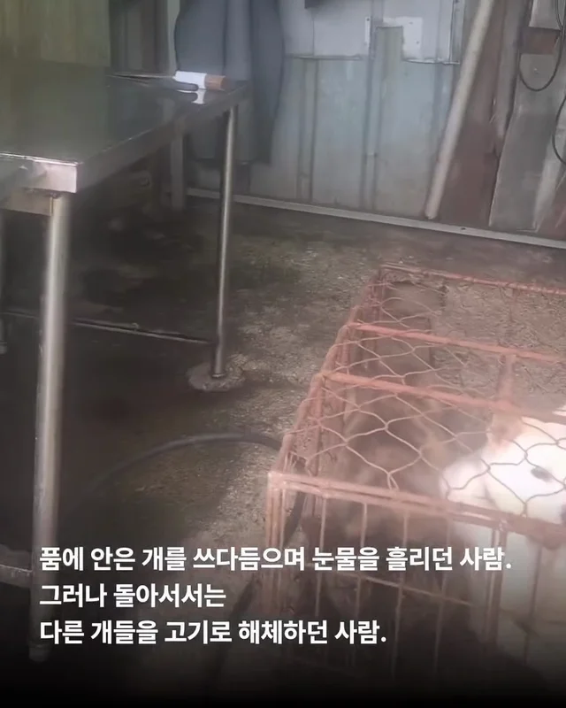 얘는 내 가족, 이건 먹는 것 현장 사진