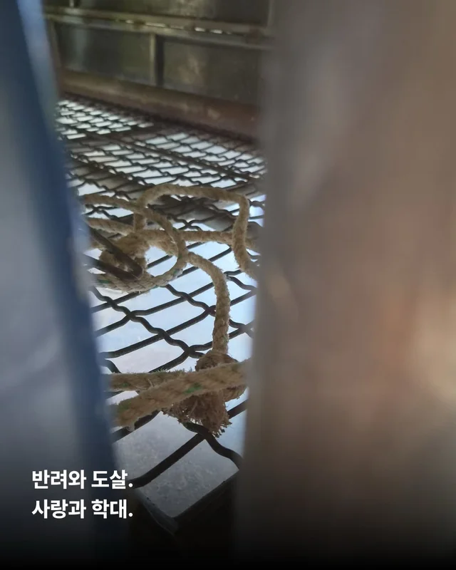 얘는 내 가족, 이건 먹는 것 현장 사진