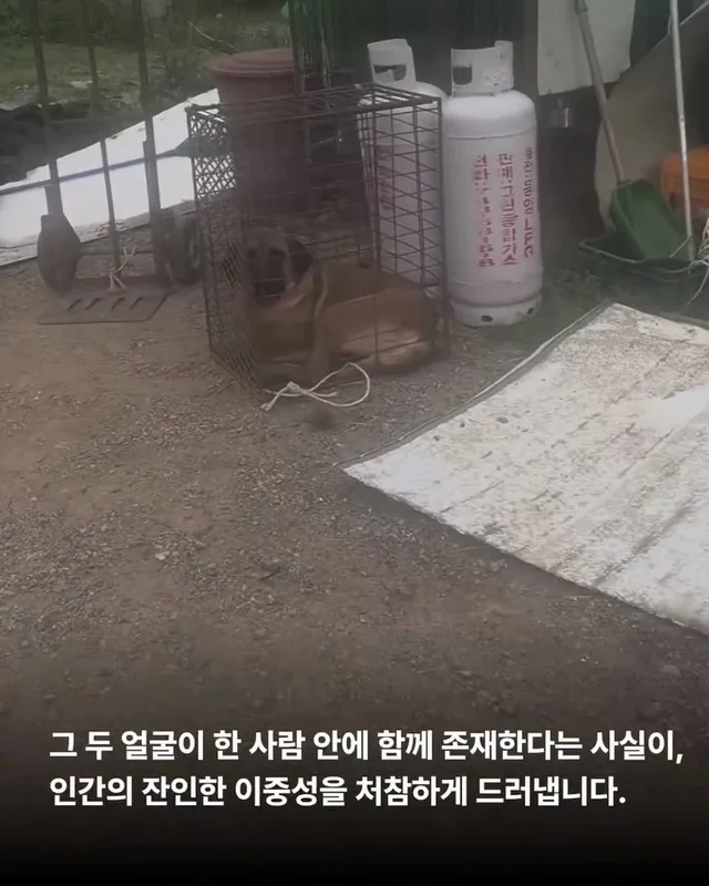 얘는 내 가족, 이건 먹는 것 현장 사진