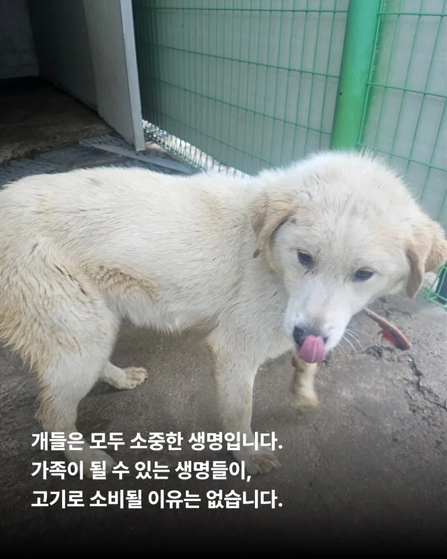 얘는 내 가족, 이건 먹는 것 현장 사진