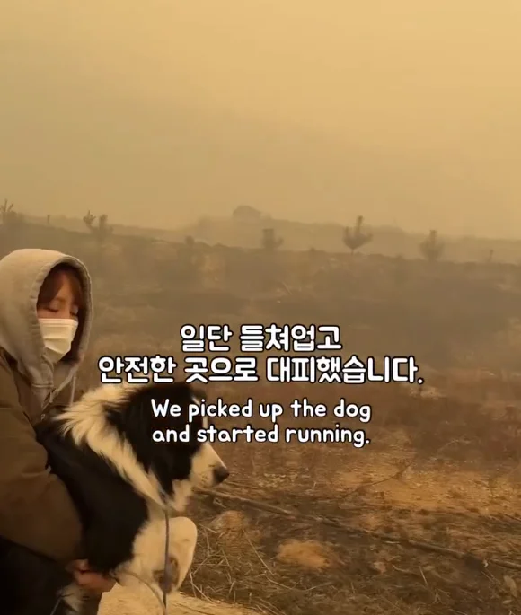 산불 속 홀로 남겨졌던 개에게 생긴 평생 가족의 정체.. 현장 사진