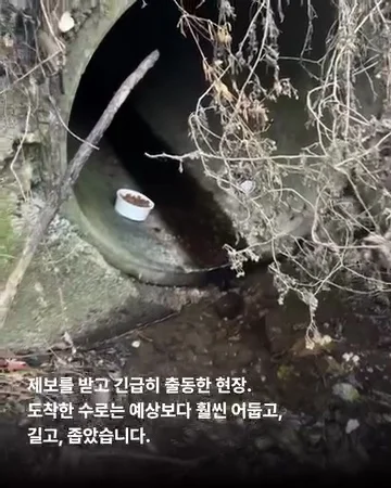 경기광주유기학대 현장 사진