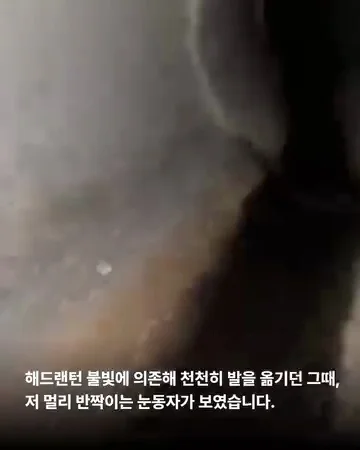 경기광주유기학대 현장 사진