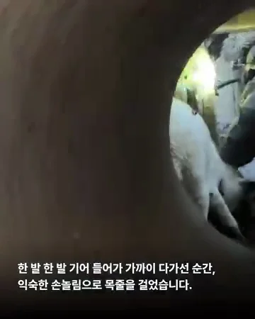 경기광주유기학대 현장 사진