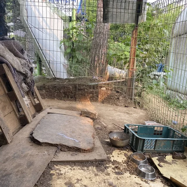 과천방치학대 현장 사진
