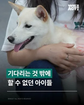 2025 WEACT 입양 파티 현장 사진
