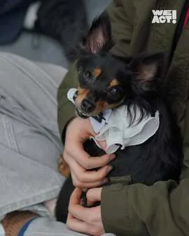 2025 WEACT 입양 파티 현장 사진