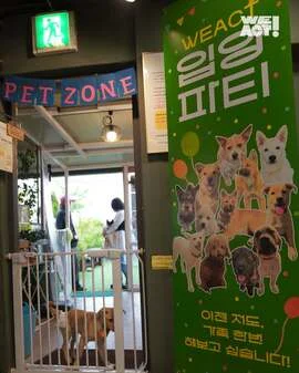2025 WEACT 입양 파티 현장 사진