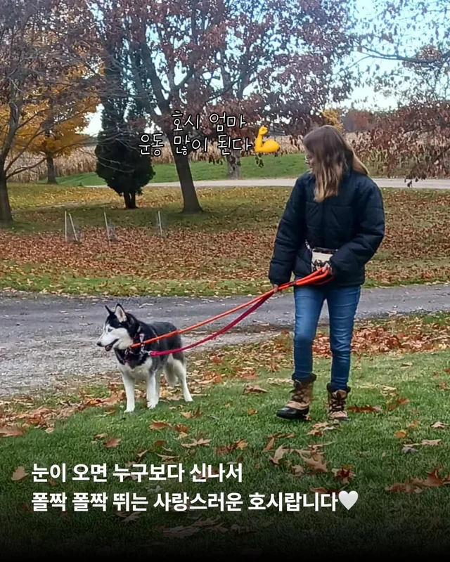 호시와 탐탐이는 겨울이 제일 좋아 #위액트호시 #위액.. 현장 사진