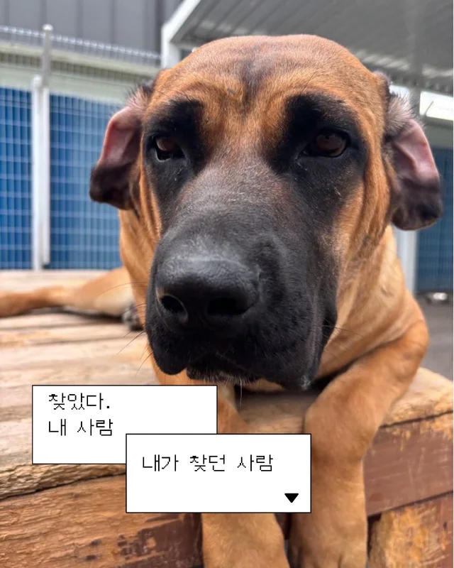잠깐 놔봐 쟤가 먼저 꼬셨어 현장 사진