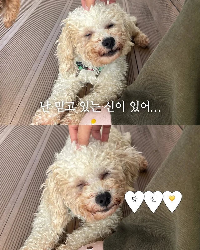 잠깐 놔봐 쟤가 먼저 꼬셨어 현장 사진