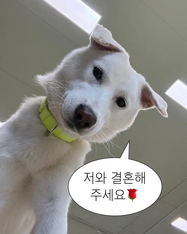 잠깐 놔봐 쟤가 먼저 꼬셨어 현장 사진