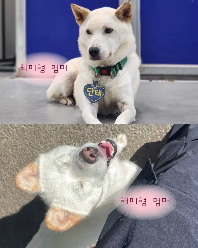 잠깐 놔봐 쟤가 먼저 꼬셨어 현장 사진