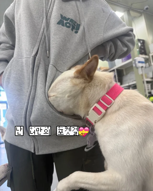 잠깐 놔봐 쟤가 먼저 꼬셨어 현장 사진