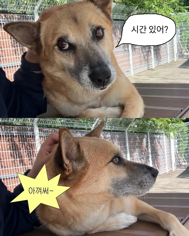 잠깐 놔봐 쟤가 먼저 꼬셨어 현장 사진