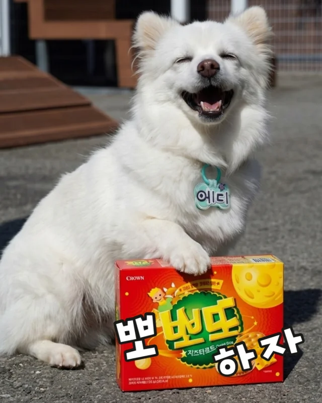 잠깐 놔봐 쟤가 먼저 꼬셨어 현장 사진