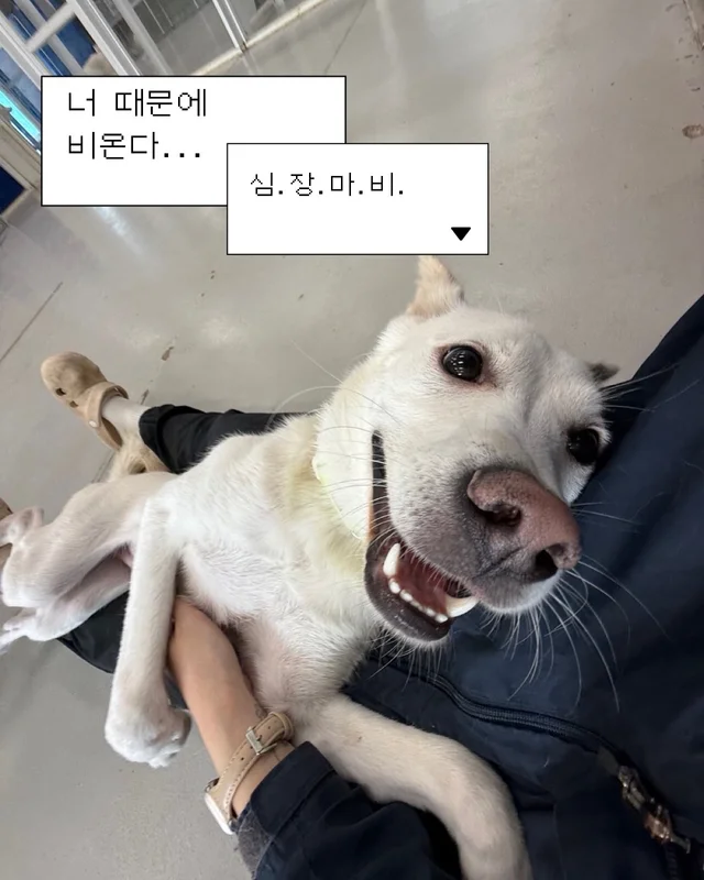 잠깐 놔봐 쟤가 먼저 꼬셨어 현장 사진