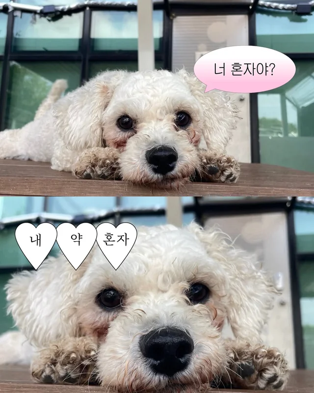 잠깐 놔봐 쟤가 먼저 꼬셨어 현장 사진