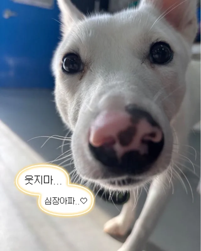 잠깐 놔봐 쟤가 먼저 꼬셨어 현장 사진