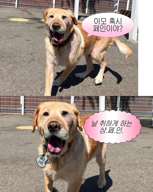 잠깐 놔봐 쟤가 먼저 꼬셨어 현장 사진