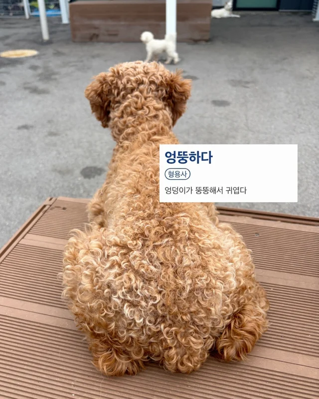 잠깐 놔봐 쟤가 먼저 꼬셨어 현장 사진