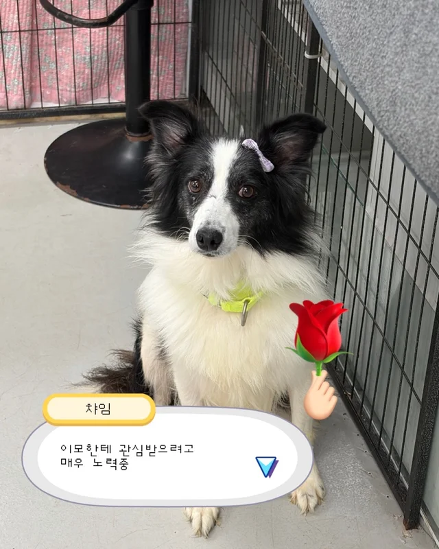 잠깐 놔봐 쟤가 먼저 꼬셨어 현장 사진