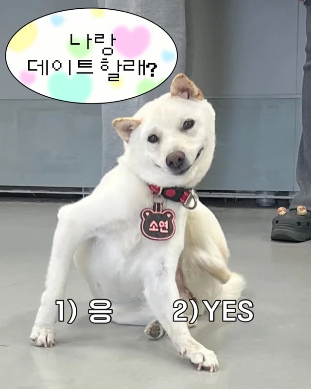 잠깐 놔봐 쟤가 먼저 꼬셨어 현장 사진