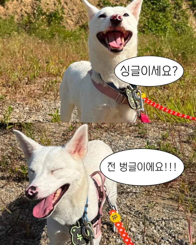 잠깐 놔봐 쟤가 먼저 꼬셨어 현장 사진