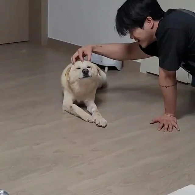 영양군보호소 현장 사진