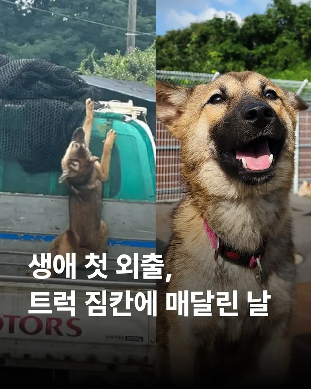 생애 첫 외출, 트럭 짐칸에 매달린 날 - 위액트지프 현장 사진