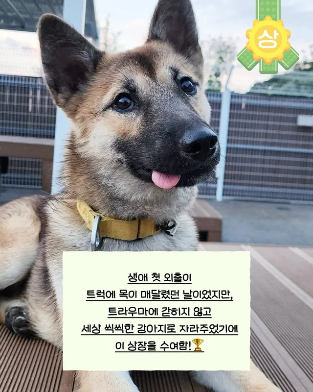 생애 첫 외출, 트럭 짐칸에 매달린 날 - 위액트지프 현장 사진