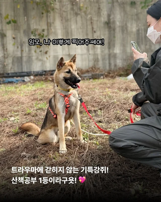 생애 첫 외출, 트럭 짐칸에 매달린 날 - 위액트지프 현장 사진