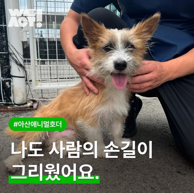나도 사람의 손길이 그리웠어요. 현장 사진