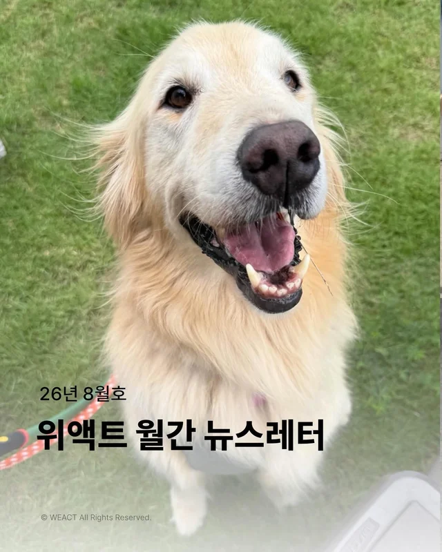 위액트 8월호 월간 뉴스레터 현장 사진