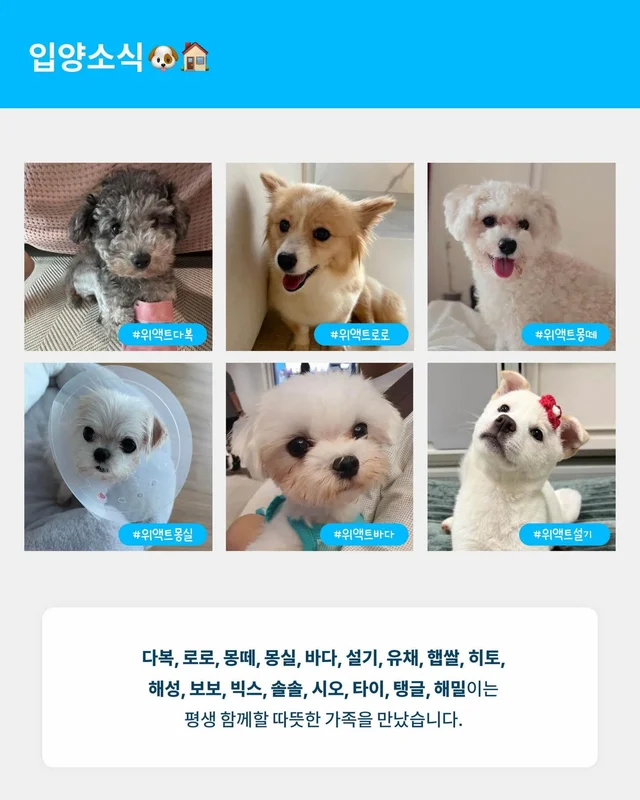 위액트 8월호 월간 뉴스레터 현장 사진