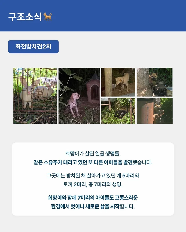 위액트 8월호 월간 뉴스레터 현장 사진