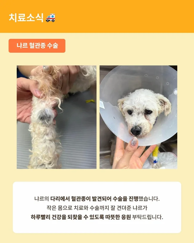 위액트 8월호 월간 뉴스레터 현장 사진